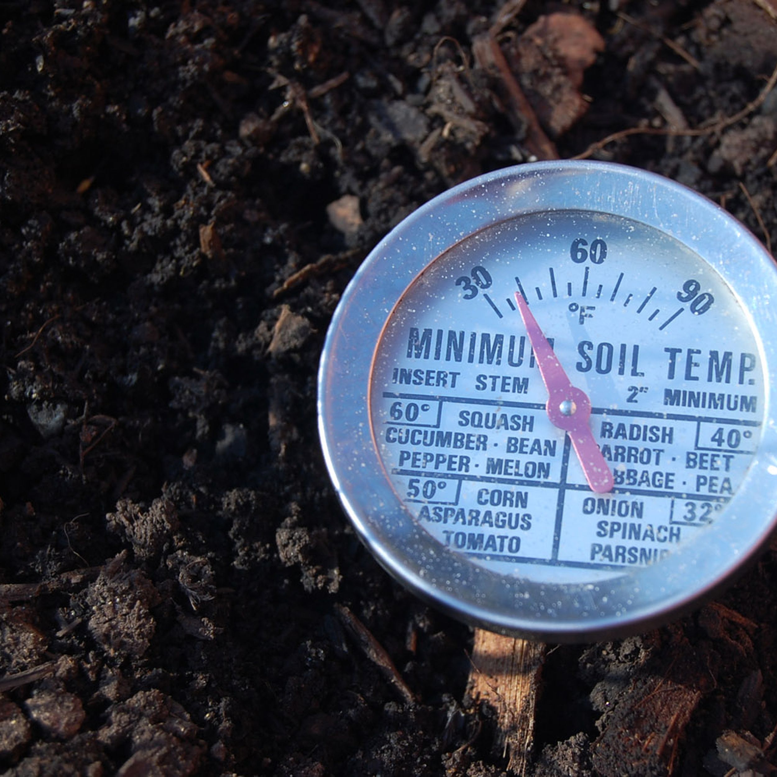 Before planting anything, take that topsoil temperature