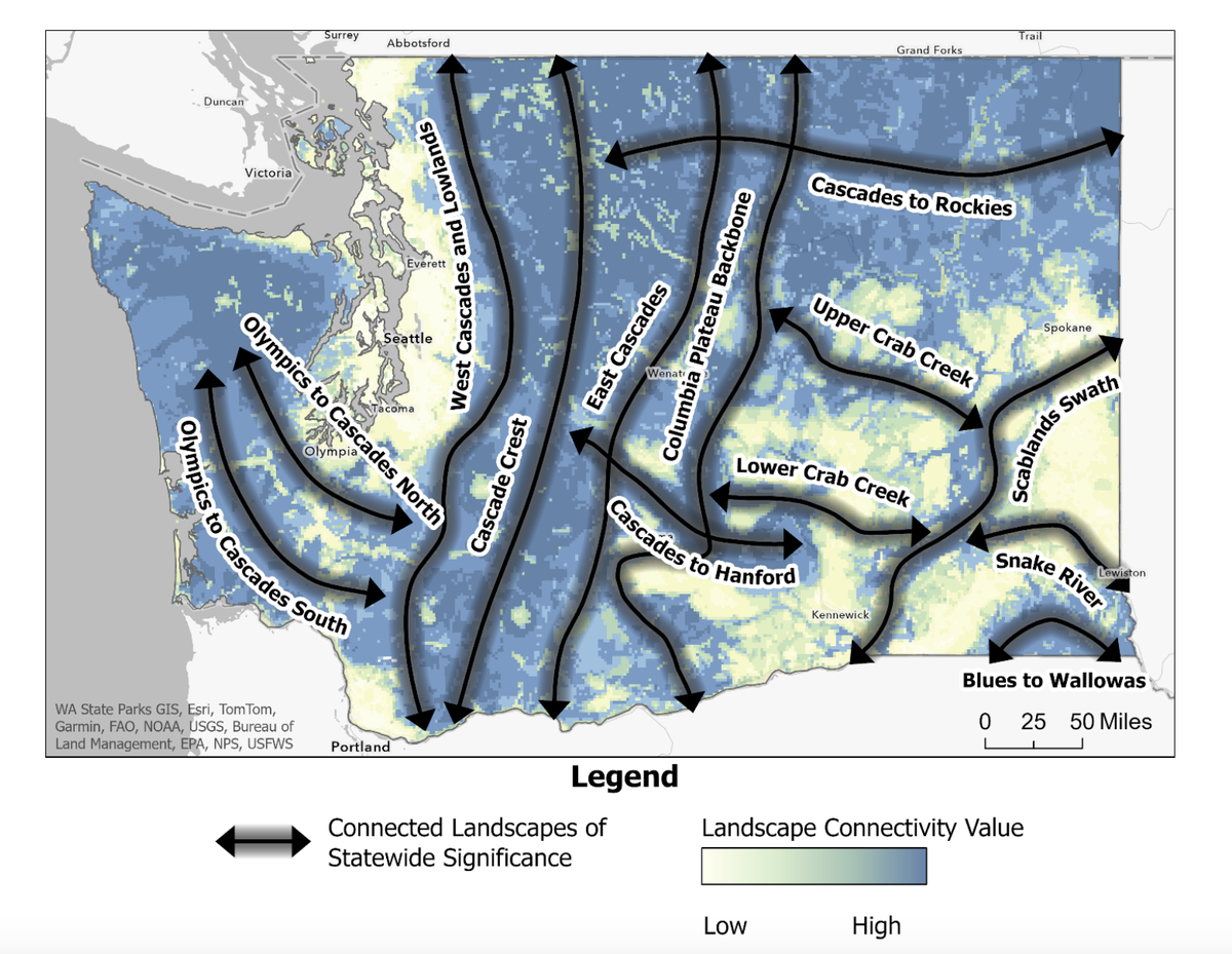 A map shows key areas on which the new report focuses. (Courtesy of the Washington Department of Fish and Wildlife)
