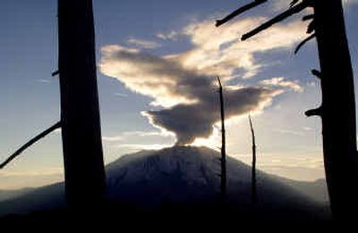 Mount St. Helens vents a plume of steam that can be seen from INEEL scientist Michael Abbott's camp located seven miles away, as shown in the autumn of 2004. By studying mercury emissions from natural sources like volcanoes, Abbott hopes to apply his understanding of mercury to efforts in developing controls on man-made emitters like coal-fired power plants.
(Associated Press / The Spokesman-Review)