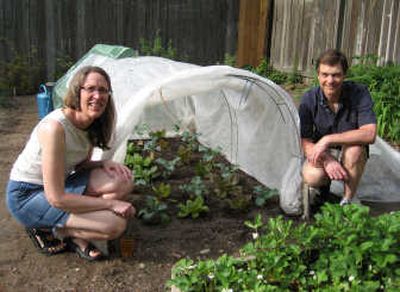 
Jane and Mark Bitz use a floating row cover on large wire hoops to keep damaging insects away from susceptible crops. Growing inside are broccoli and two eye-catching lettuce varieties, Forellenschuss and Marvel of the Four Seasons. Special to 
 (SUSAN MULVIHILL Special to / The Spokesman-Review)
