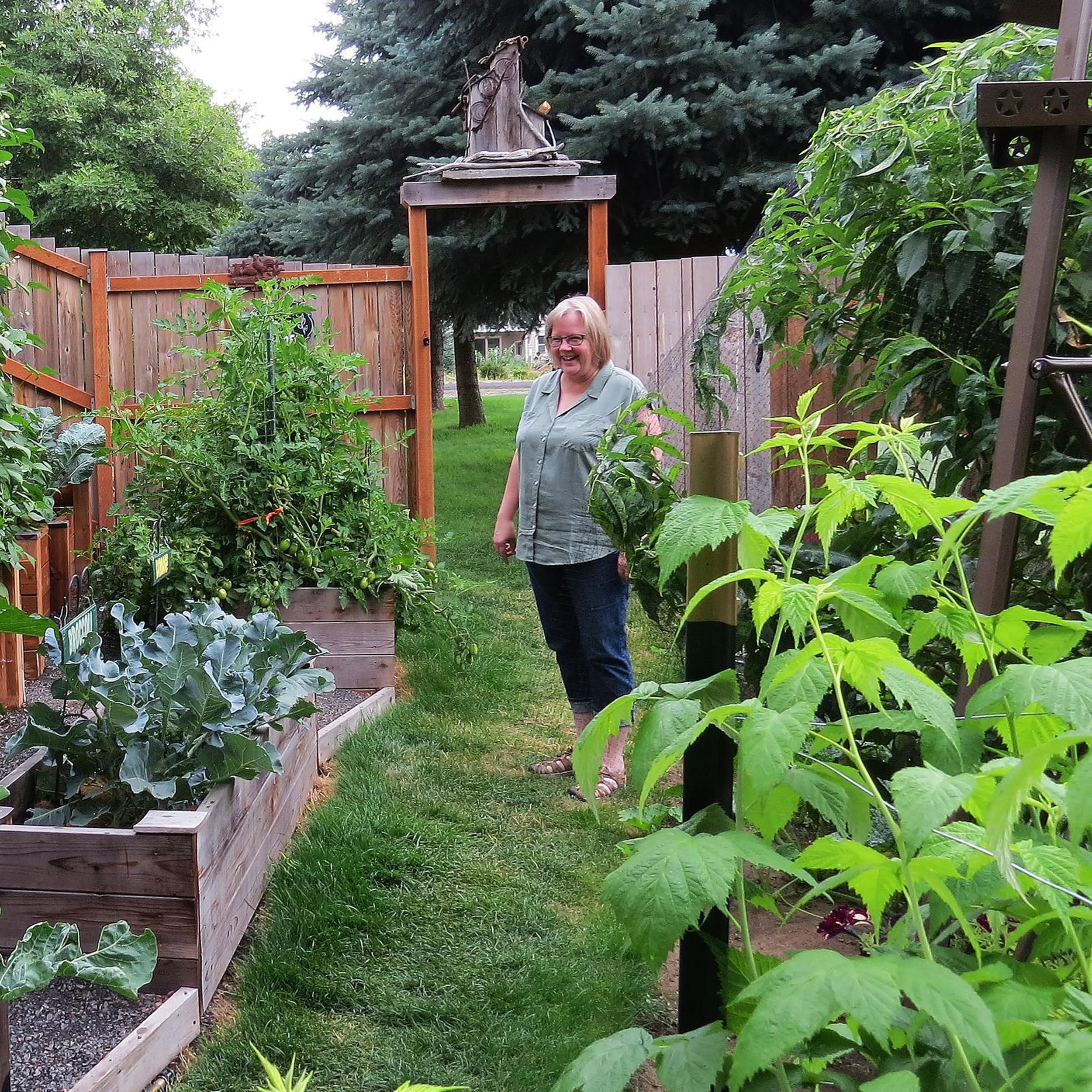 In the Garden: Sloped backyard is becoming a productive edible garden