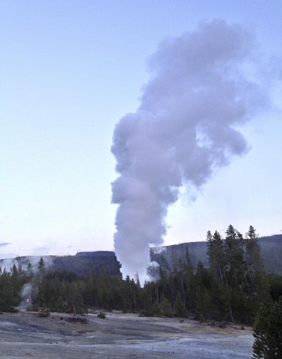 Steamboat Geyser, in Yellowstone National Park’s Norris Geyser Basin in Wyoming, erupts July 31, 2013. Yellowstone National Park has reported a series of potential eruptions from the world’s largest active geyser for the first time since 2014. (Robb Long / Associated Press)