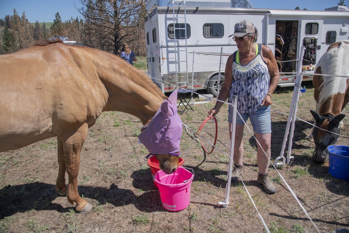 Peggy Buxton, from the Tri Cities area, fills up two large containers with water for her horse Nacho, left, Wednesday, June 2, 2021 as both try to keep cool in Malden, Idaho, which becomes a horse camp once a year when her group, the John Wayne Pioneer Wagons and Riders, makes a stop in the tiny town in Whitman County, the first since the town burned last year. The riders group supports the Palouse to Cascades Trial and rides it every year in 10-25 mile segments. The group supports their ride by bringing RVs, horse trailers and a variety of support services like portable toilets, water for humans and horses and their own food.  (Jesse Tinsley/The Spokesman-Review)