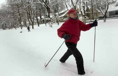 
Gary Strickland makes good use of the fresh snowfall as he cross country skis on Manito Boulevard on Friday. 
