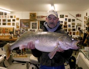 John Grubenhoff of Pasco caught this 20.32-pound walleye, a pending Washington state record, on Feb. 28, 2014, in the Columbia River near the Tri-Cities.   (courtesy)