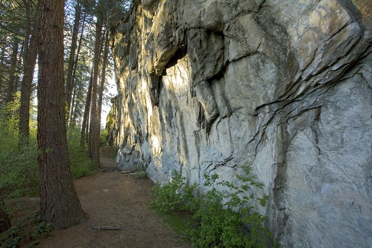 The wall of the Enchanted Ravine at Dishman Hills Natural Area in Spokane Valley. (Charles Gurche / Courtesy)
