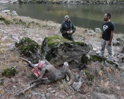 Idaho Fish and Game officers cited a Nampa man for poaching a bighorn sheep along the main Salmon River in 2015. (Idaho Department of Fish and Game)
