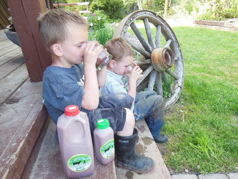 Chocolate milk will be on the menu for Pilgrim’s Market’s field trip to Springs of Hope.