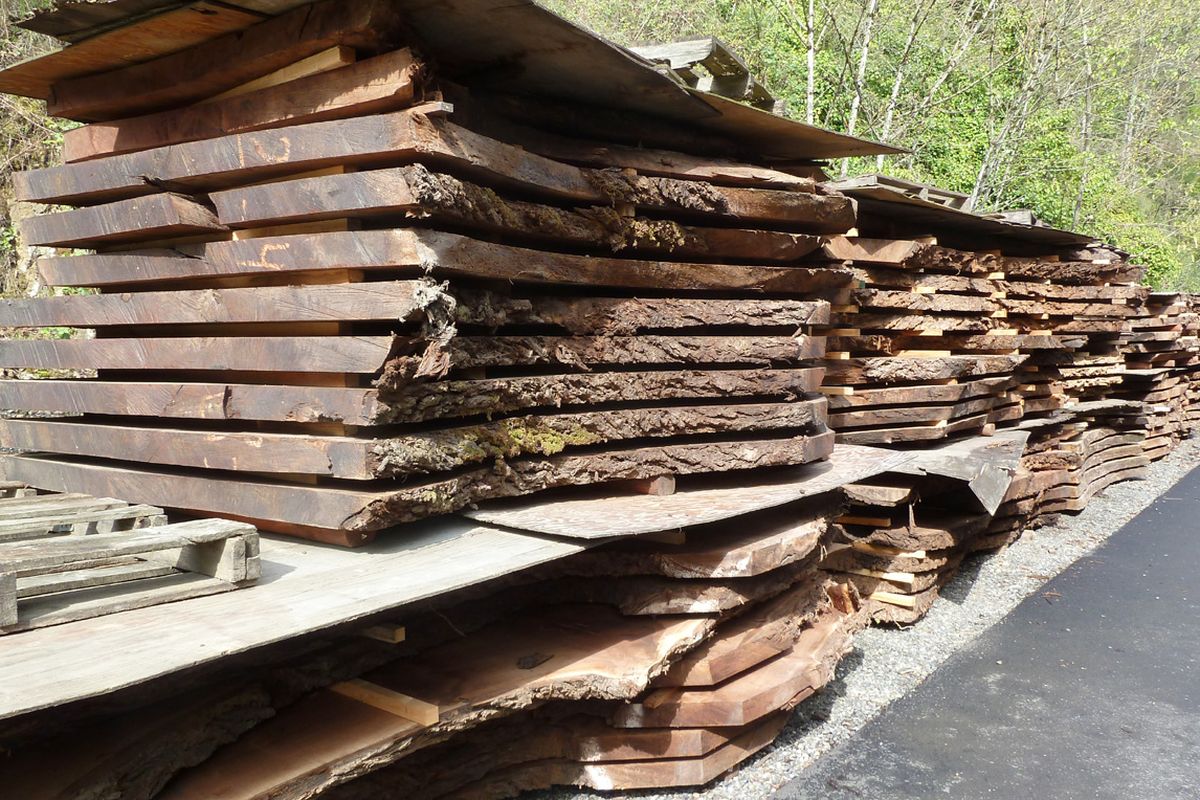 Large walnut slabs are stacked and air-dried a year or more before being fully processed. (Pete Dunlop / Down to Earth NW Correspondent)