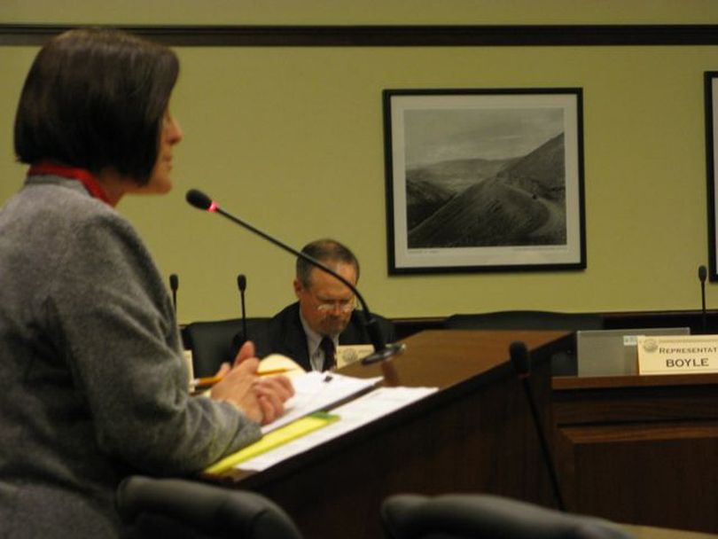 Rep. Judy Boyle, R-Midvale, presents legislation to the House Resources Committee on Tuesday to exempt hunting licenses and tags from the Idaho Public Records Law. (Betsy Russell)