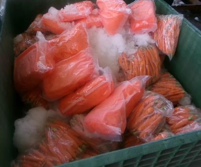 U.S. Customs and Border Protection officers at the Otay Mesa Port of Entry found packages of methamphetamine concealed within a shipment of carrots.  (U.S. Customs and Border Protection/TNS)