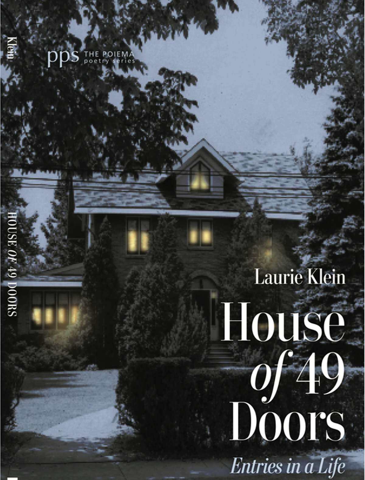 “House of 49 Doors,” by Laurie Klein 