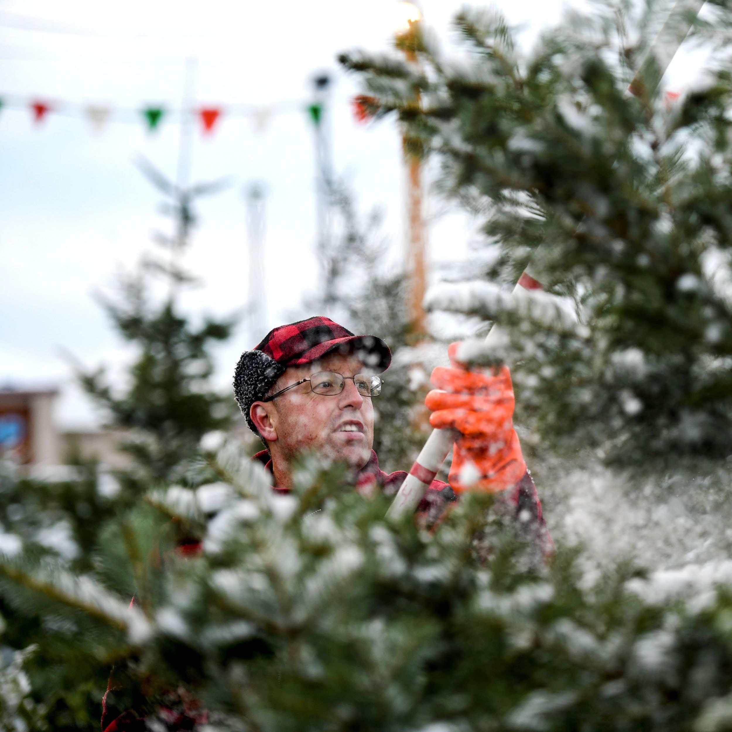 Spokane City 2022 Christmas Tree Disposal City Of Spokane Will Pick Up Your Christmas Tree For Free On Your Garbage  Days Dec. 27-Jan. 7 | The Spokesman-Review