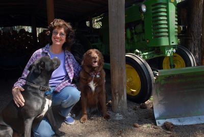 C.J. Rose sits with her dogs Max and Roxie outside her cabin north of Spirit Lake. Rose has declared her intent to run against Dick Harwood, of St. Maries, in one of the most rural and far-flung Idaho legislative districts. (Jesse Tinsley / The Spokesman-Review)