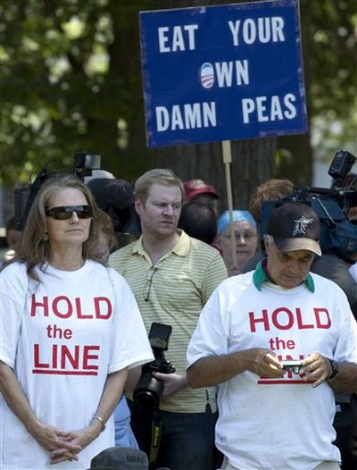 Tea party members rally on Capitol Hill in Washington on Wednesday. (Associated Press file)