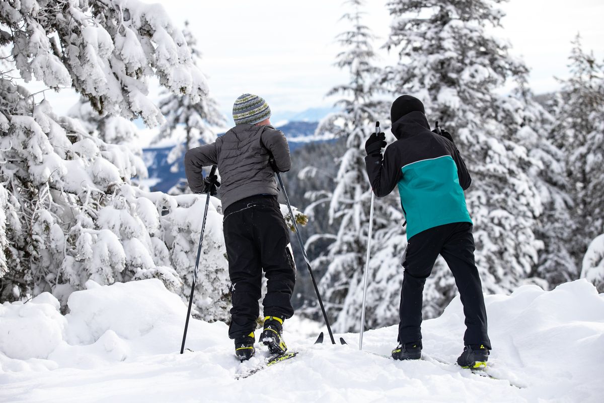 Young skiers look to the sprawling woods of Mt. Spokane from the Cross-Country Ski Park prior to the Spokane Langlauf race Feb. 9, 2020.  (Libby Kamrowski)