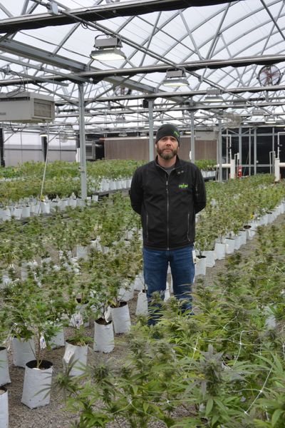 Jeffrey McPhee from Sticky Budz has organized Yakima-area cannabis businesses into the Cannabis Producer Processor Trade Association.  (Elly Bailey  / EVERCANNABIS Correspondent)