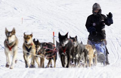 Lance Mackey is closing in on his third straight Iditarod title. (Associated Press / The Spokesman-Review)