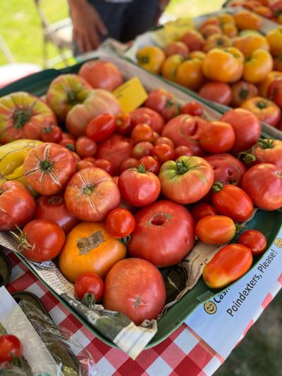 Tomatoes for sale are pictured at the Cheney Farmers Market.  (Courtesy photo by Colbie Monter)