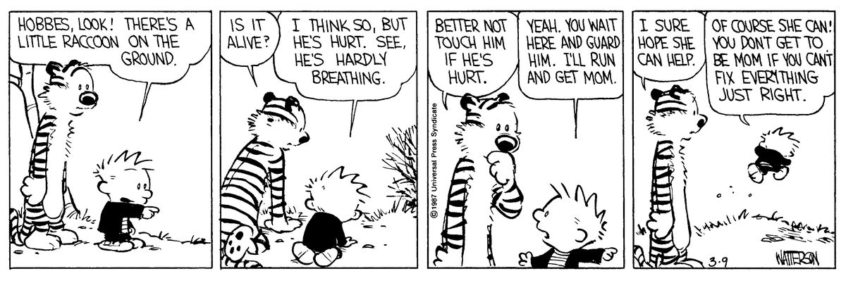 Calvin and Hobbes' said goodbye 25 years ago – here's why Bill Watterson's  masterwork enchants us still | The Spokesman-Review