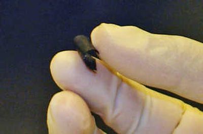This photo provided by the Rensselaer Polytechnic Institute and the Proceedings of the National Academy of Sciences of the U.S. shows a battery that looks like a sheet of paper and can be bent and twisted, trimmed with scissors or molded into any shape. Associated Press
(Associated Press / The Spokesman-Review)