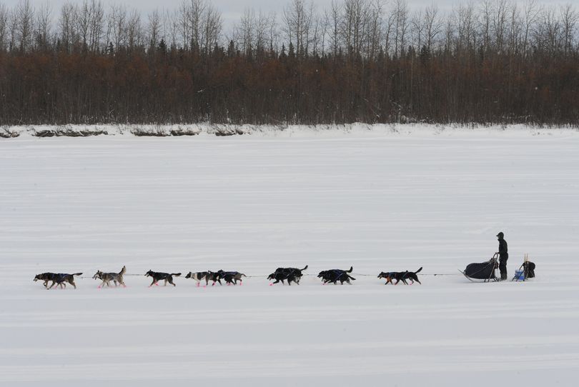 Musher Matt Failor drives his team down the Kuskokwim River after leaving the Iditarod Sled Dog Race  checkpoint in McGrath.  By this point, mushers are well ahead of any snowmobilers following the Iditarod Trail. (Bill Roth / The Anchorage Daily News)