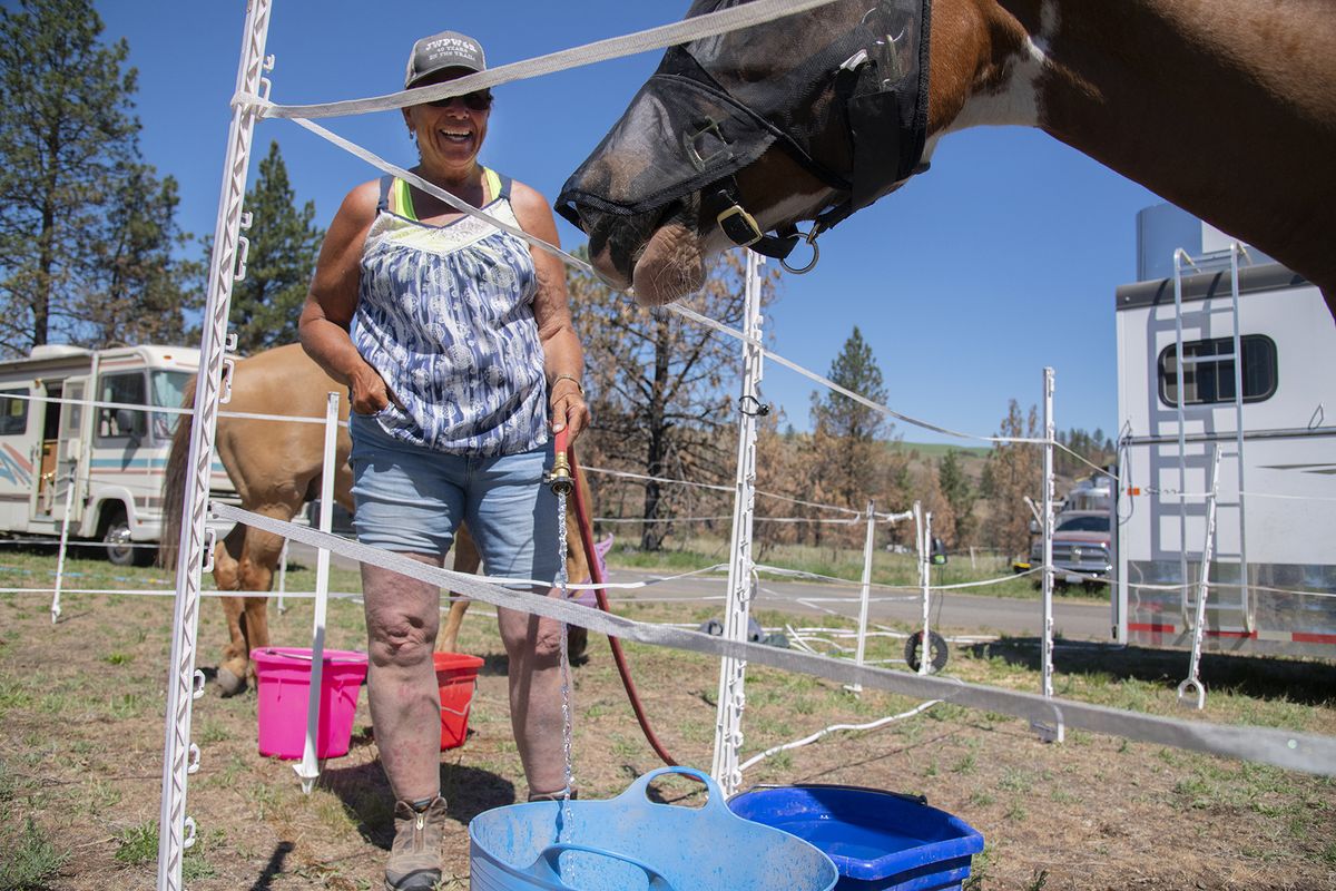 Peggy Buxton, from the Tri-Cities area, fills up large water containers with water for two horses Wednesday as humans and horses try to keep cool in Malden, which becomes a horse camp once a year when her group, the John Wayne Pioneer Wagons and Riders, makes a stop in the tiny town in Whitman County.  (Jesse Tinsley/The Spokesman-Review)