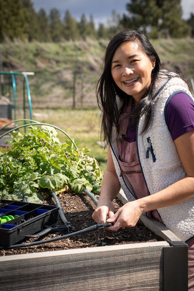 Linda Ly of gardenbetty.com has created a simple calculator that helps set the run time for your drip irrigation systems. In hot weather, the calculator can help your plants get the water they need without wasting water.  (Courtesy of Linda Ly)