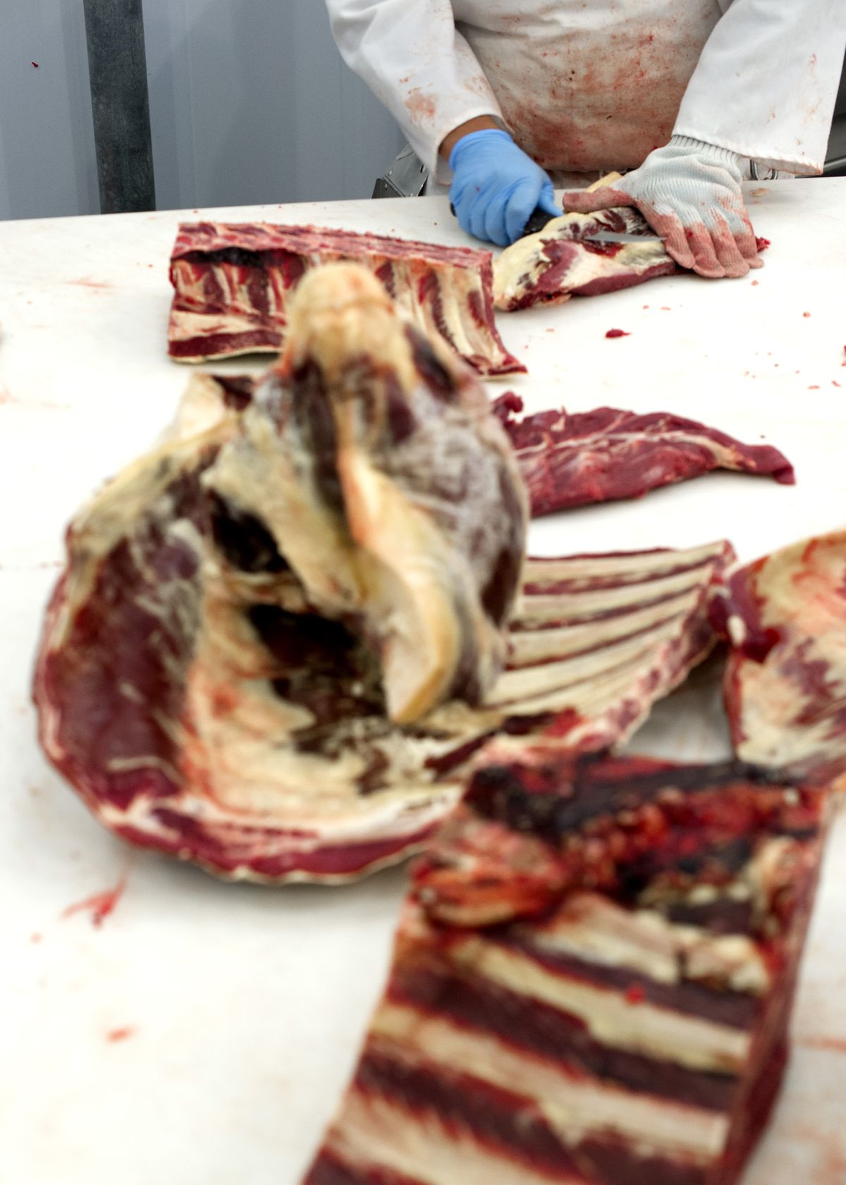 Tyler Shaw, a meat cutter with the Livestock Processors Cooperative Association, butchers meat into steaks Tuesday at the new Odessa slaughterhouse, which covers 7,000 square feet.