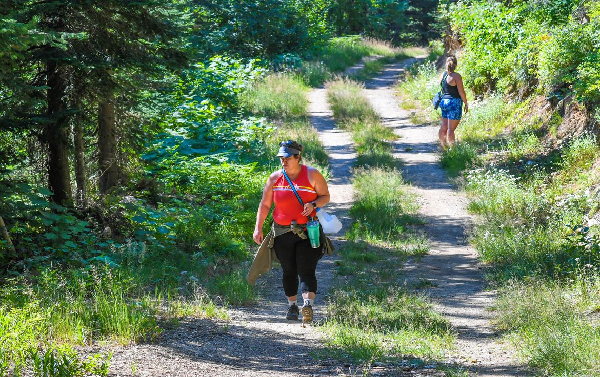 Extreme heat in the region has affected the huckleberry harvest - July ...