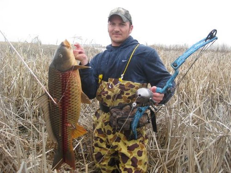 Bow hunter with carp bagged while archery fishing.