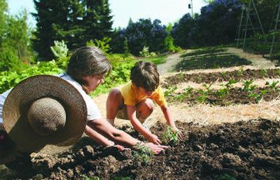 
Amy Grey helps her son Tom Warner, 7, plant a tomato plant in their garden in Moscow, Idaho. 
 (Photos by Amanda Smith / The Spokesman-Review)