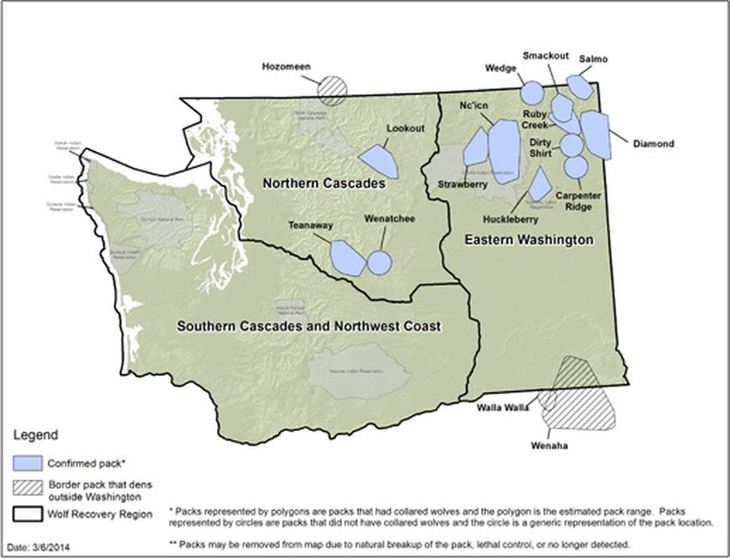 A total of 13 wolf packs were confirmed in the state on March 8, 2013, by the Washington Department of Fish and Wildlife. (Washington Fish and Wildlife Department)