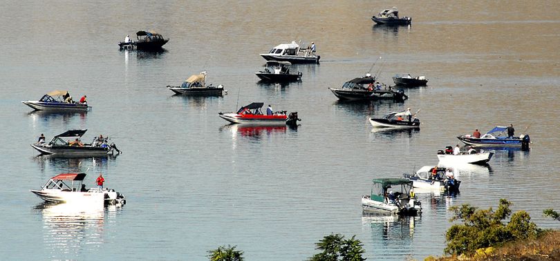 The fleet is out, congregating at the confluence of the Snake and Clearwater rivers at Lewiston, casting its luck and a lure to catch a salmon or a steelhead. (Barry Kough / Lewiston Tribune)