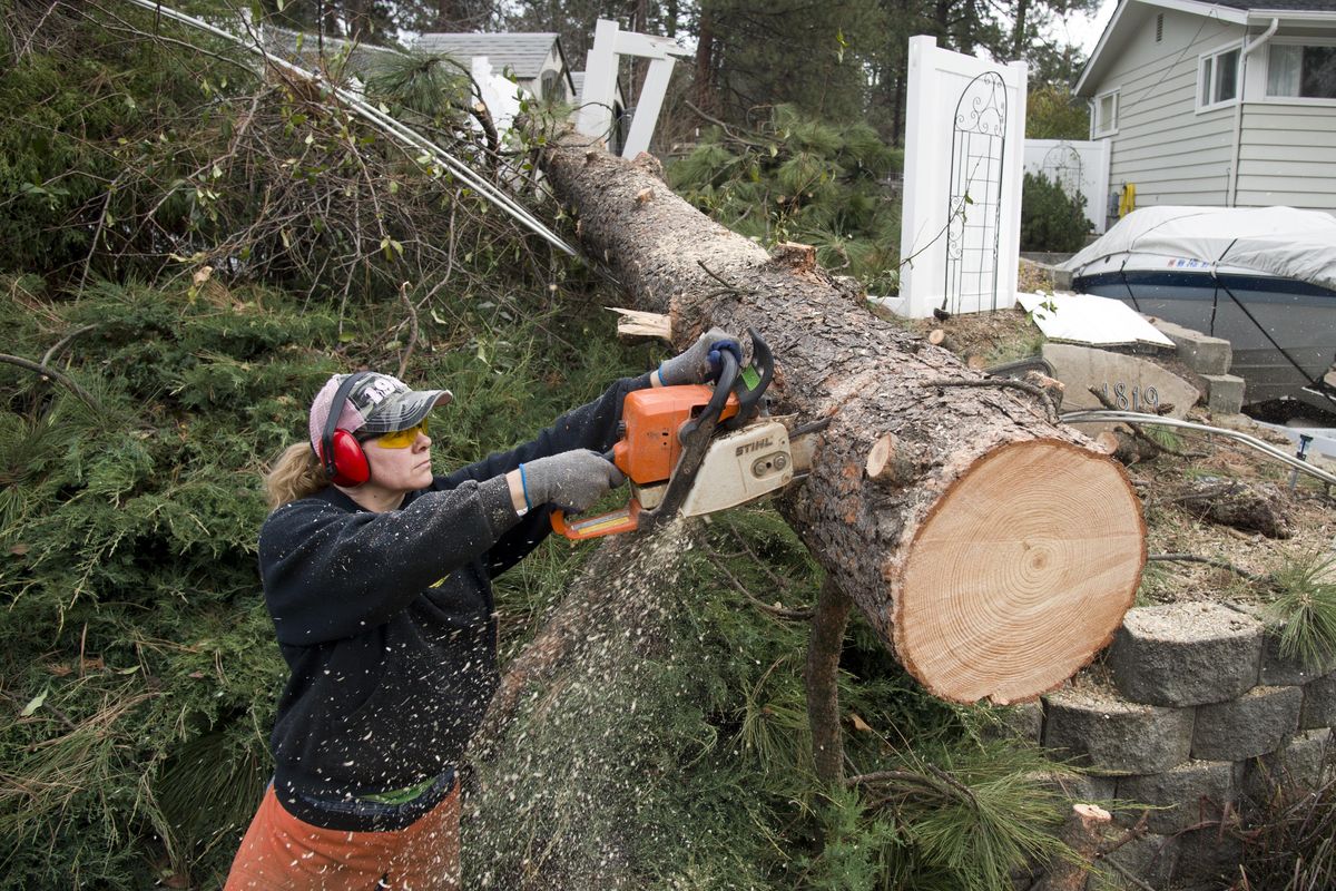 Tammara McGovern dismantles a tree that fell from across the street, bringing down power and utility lines and destroying her fence in Spokane Valley, Thursday, Nov. 19, 2015. McGovern and her husband use wood to heat their home during the power outage. (Jesse Tinsley / The Spokesman-Review)