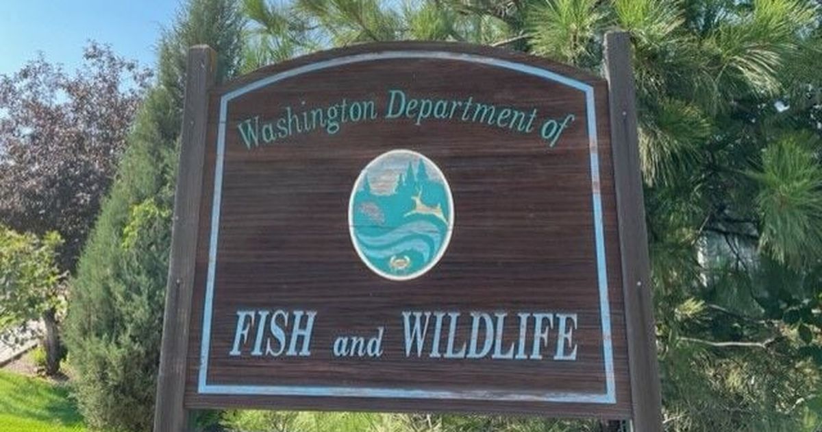 Washington Fish and Wildlife Commission seeks public input on science policy