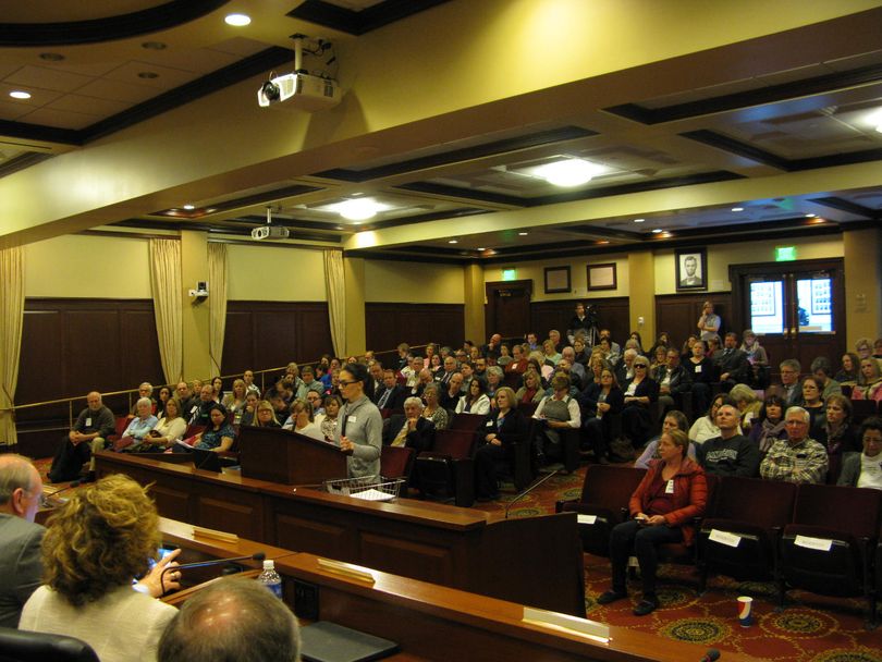 Lindsey Dial addresses the House and Senate Health & Welfare committees on Friday morning at a public hearing on health and welfare issues (Betsy Z. Russell)