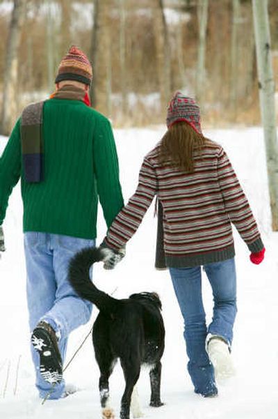 
Pets may love to frolic in the snow, but there are steps you can take to safeguard them from winter weather.
 (Metro Services / The Spokesman-Review)