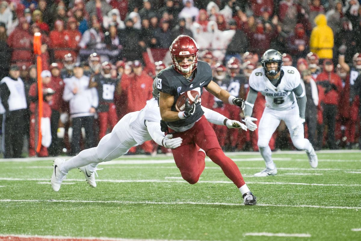 Washington State Cougars wide receiver Brandon Arconado (19) runs the ball in for a touchdown during the first half of a college football game on Saturday, October 21, 2017, at Martin Stadium in Pullman, Wash. (Tyler Tjomsland / The Spokesman-Review)