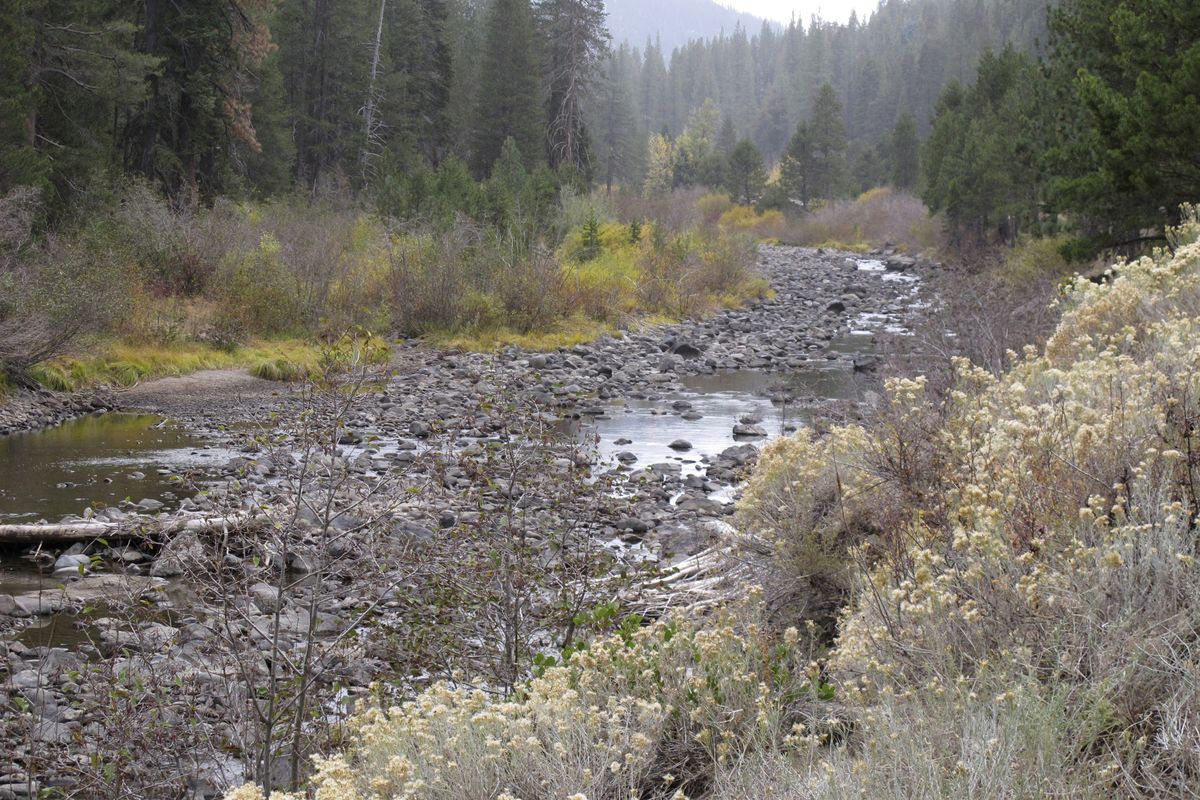 Water flows have slowed to a trickle on the Truckee River flowing out of Lake Tahoe from Tahoe City, Calif. a few miles upstream from Truckee, Calif. Wednesday, Oct. 20, 2021. Drought fueled by climate change has dropped Lake Tahoe below its natural rim and halted flows into the Truckee River, an historically cyclical event that