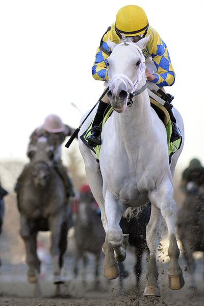 Hansen, ridden by Ramon Dominguez, charges to the finish line to win the Gotham Stakes last month. (Associated Press)