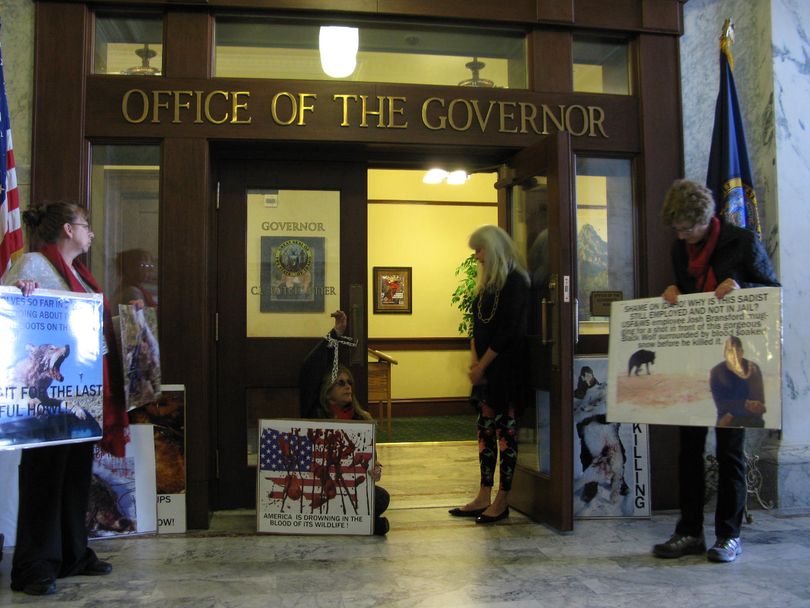 Pro-wolf protesters talk with Gov. Butch Otter's secretary after they chained a member's arm to the door of the governor's office on Monday. (Betsy Z. Russell)