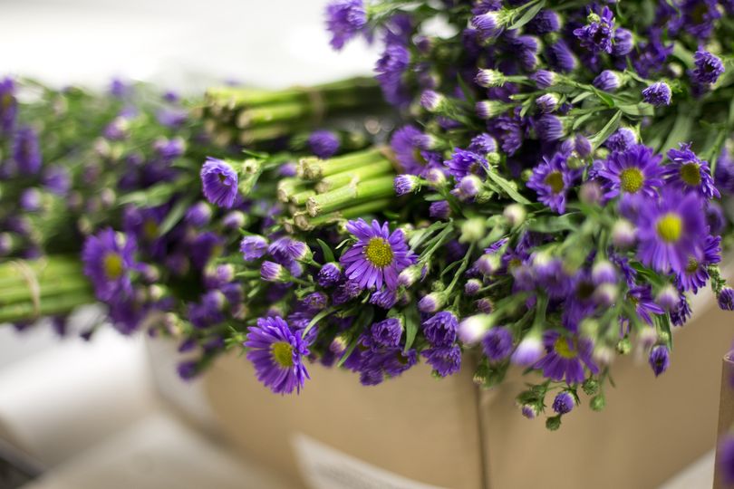 In this Jan. 9, 2014 photo, a box of flowers imported from South America, wait for bug inspection at Miami International Airport. Each year, 715 million flowers come through Miami International Airport. (J Carter / Associated Press)