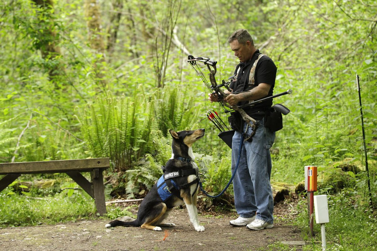 U.S. Army Spc. Mike Ballard stands with Apollo, his service dog, during an archery shooting session in Puyallup, Wash., on May 17. Ballard suffers from post-traumatic stress disorder caused by an explosion in Afghanistan that ended his career as an Army medic. (Associated Press)