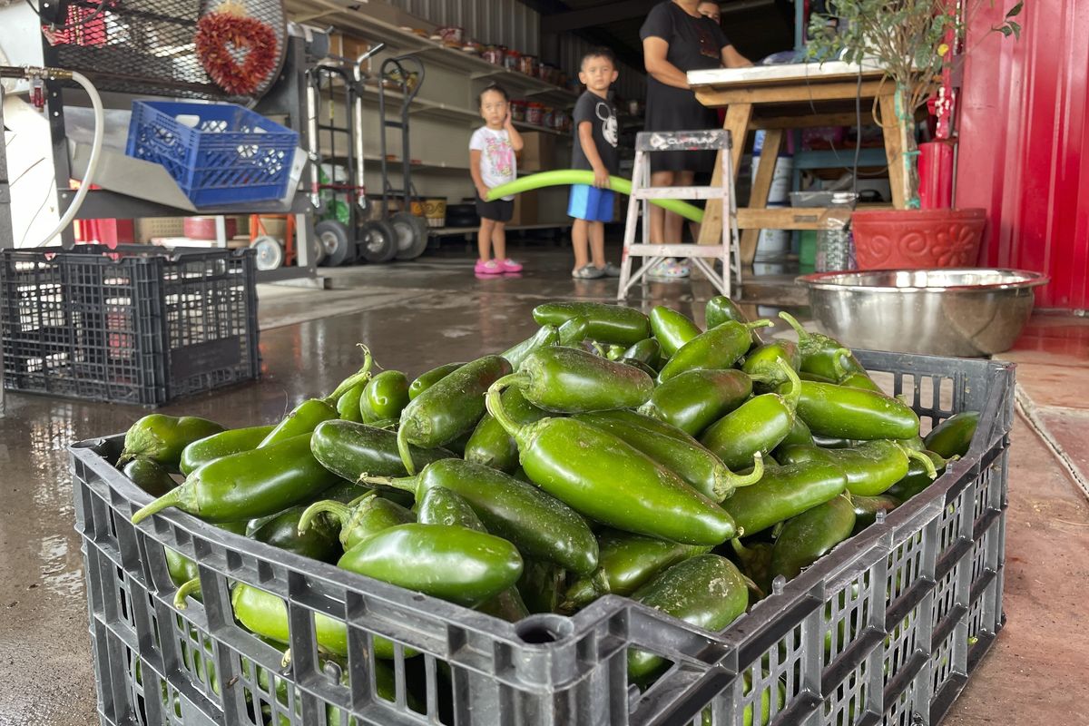 This July 12, 2021 photo shows a basket of fresh harvested green chile waiting to be roasted at Grajeda Hatch Chile Market in Hatch, New Mexico. Rural America continued to lose population in the latest U.S. Census numbers, highlighting an already severe worker shortage in those areas and prompting calls from farm and ranching groups for immigration reform to help alleviate the problem.  (Susan Montoya Bryan)