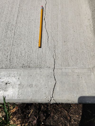 This new concrete sidewalk cracked within months. The homeowner was distraught. There are things he could have done to prevent or minimize the crack.  (Tribune Content Agency)