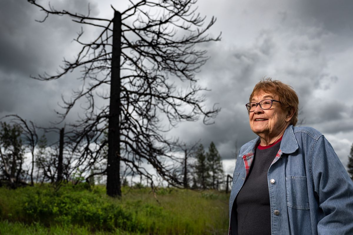 Ruth Smith’s property lost about 160 acres of forest in the Fish Lake Fire of 2015, which she believes was sparked by a passing BNSF Railway train.  (Colin Mulvany/THE SPOKESMAN-REVIEW)