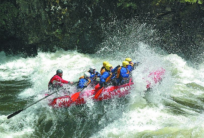 The Lochsa River was running big and wild last weekend, giving paddlers their money's worth on a whitewater rafting trip with ROW Adventures. 