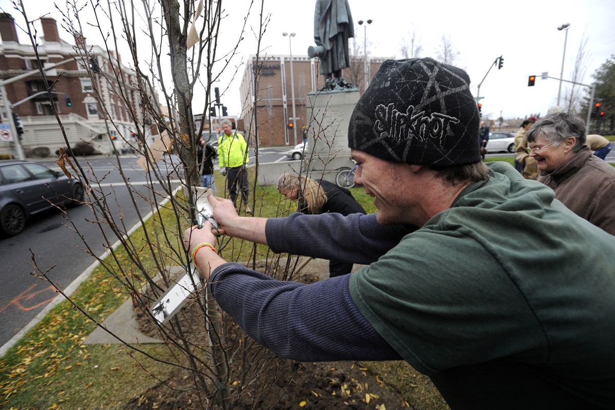 Michael Reichardt of the Spokane Urban Forestry department attaches messages to a newly planted tree by the Lincoln statue in downtown Spokane on Tuesday, Nov. 17, 2009, while Nancy MacKerrow, standing at right, watches. The planting is part of Susie