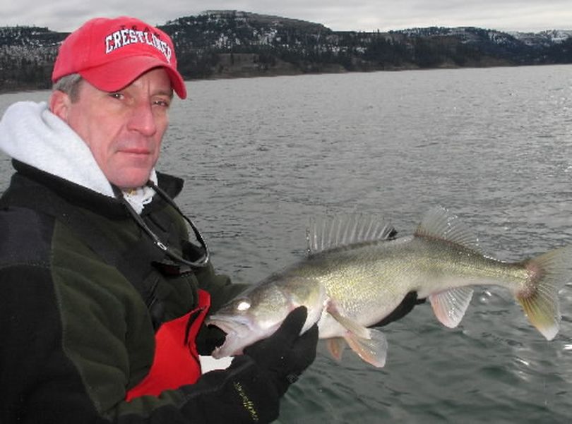 Bob Ploof of Medical Lake pauses before releasing a walleye while fishing on Lake Roosevelt. (Rich Landers)